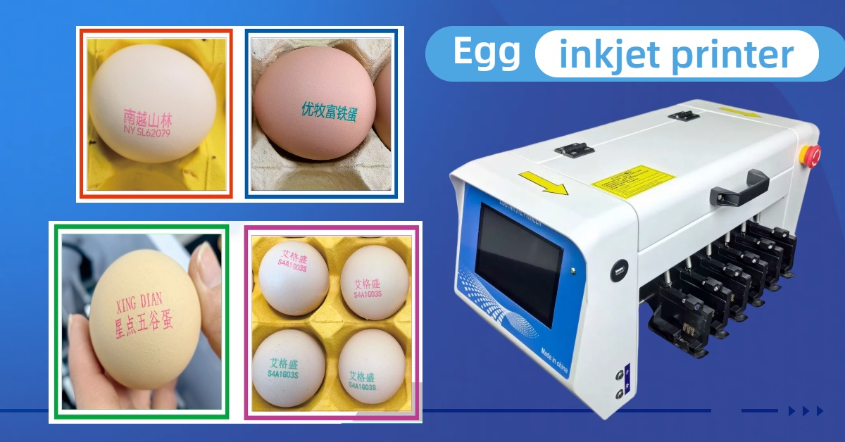 1724985557866000523.jpg egg inkjet printer.jpg