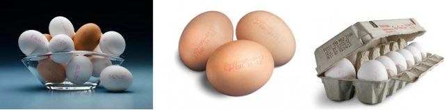 1637048696451008501.png image.png