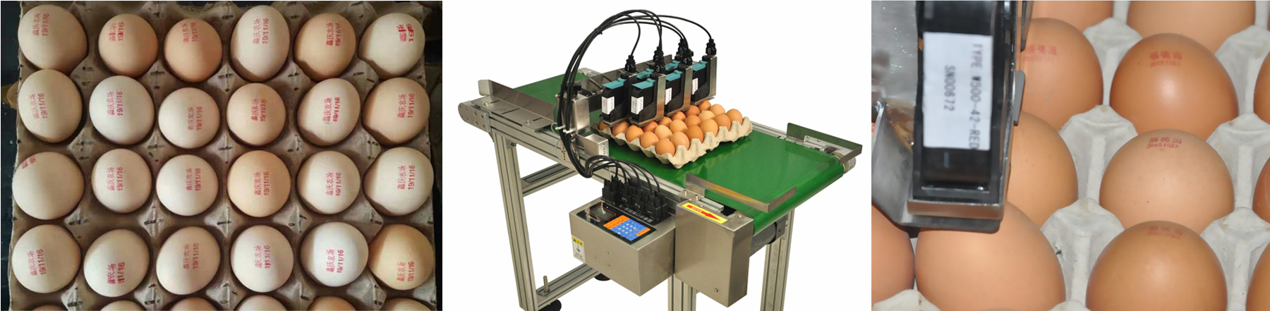 egg inkjet coding machine.jpg